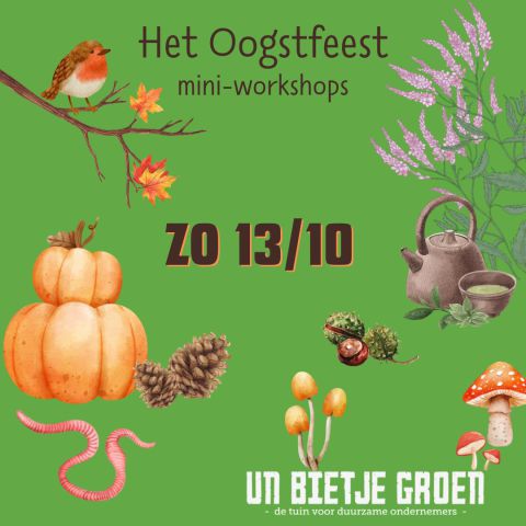  - Zomer 2024 - TilburgsAns