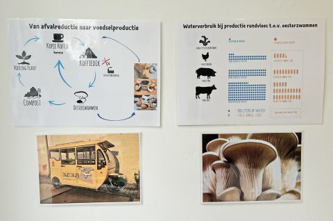  - November 2024 - TilburgsAns