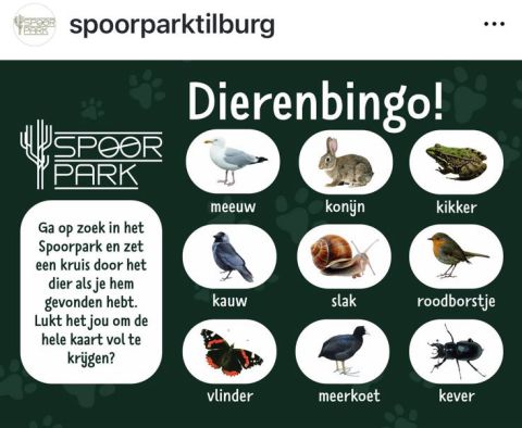  - July-August 2025 - TilburgsAns