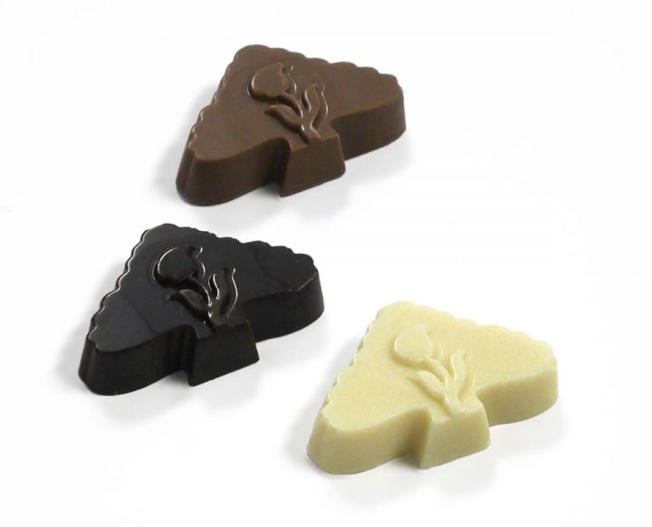  - Chocolinde - TilburgsAns